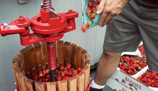 Oh what a miracle — strawberry beer! Oh what a miracle — strawberry beer!
