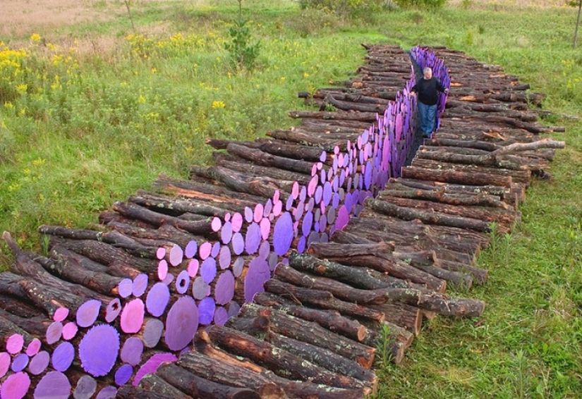 On the courtyard grass, on a grass firewood