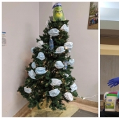 One, two, three! Crown, get out! The British decorate the Christmas tree in the style of Covid-19 and sharing pictures in social networks