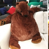 Oso Tungelsta vino a nosotros en el 2020, para enviar un Tiburón Blaha para descansar