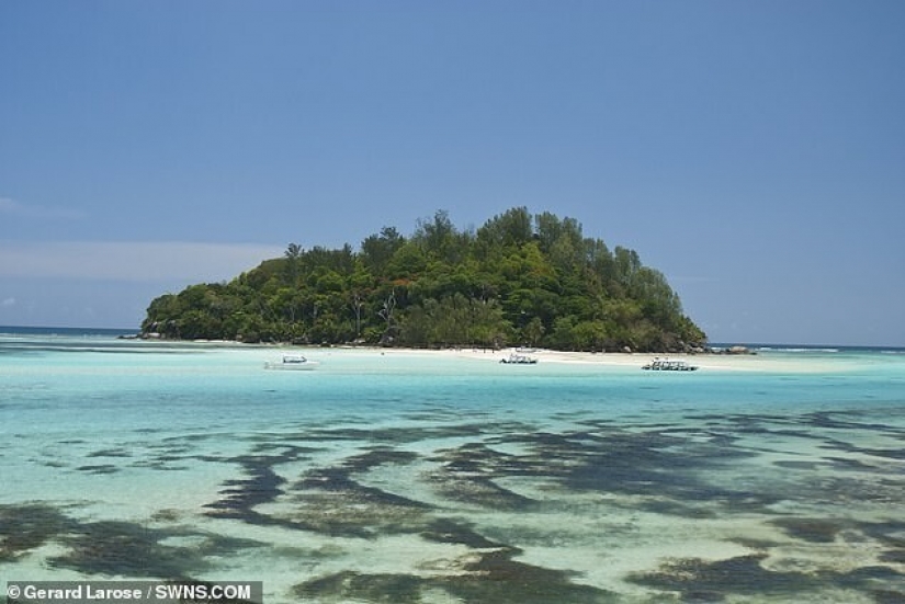 Para salir de Londres para los corales: una familia vendió todo y se trasladó a una pequeña isla