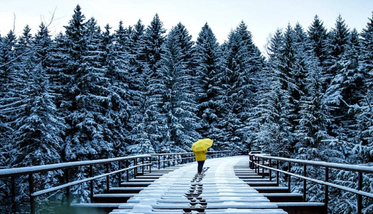 Peaceful winter landscapes by German photographer