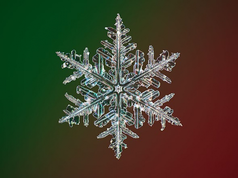 Photographer captures the highest resolution snowflake photos in the world