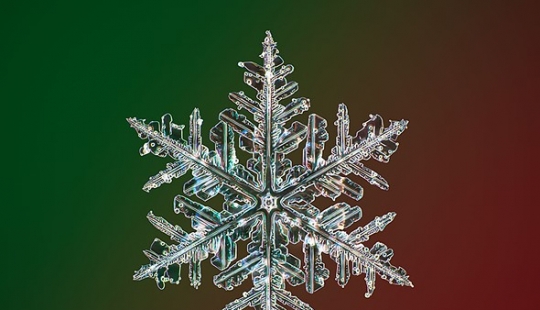 Photographer captures the highest resolution snowflake photos in the world