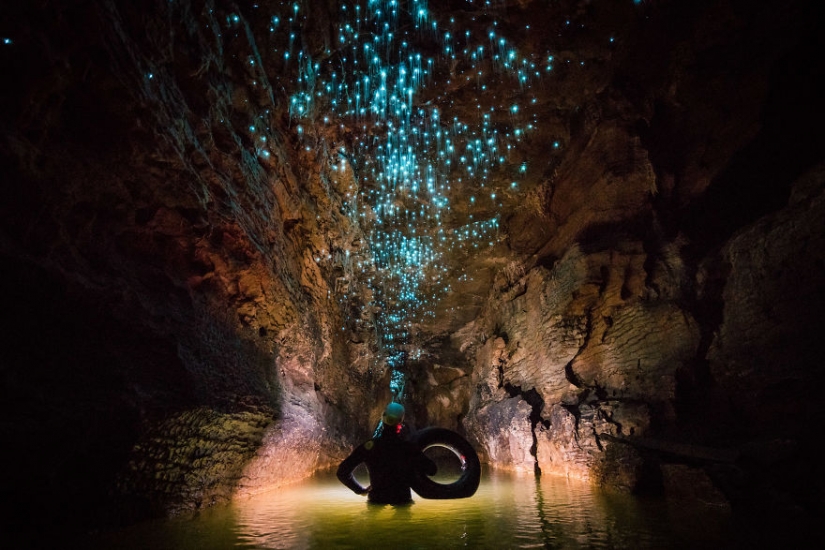 Photographer shot of the starry sky of glowworms cave in new Zealand