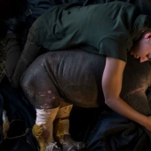 Photographers against poachers: harrowing footage of wildlife crime