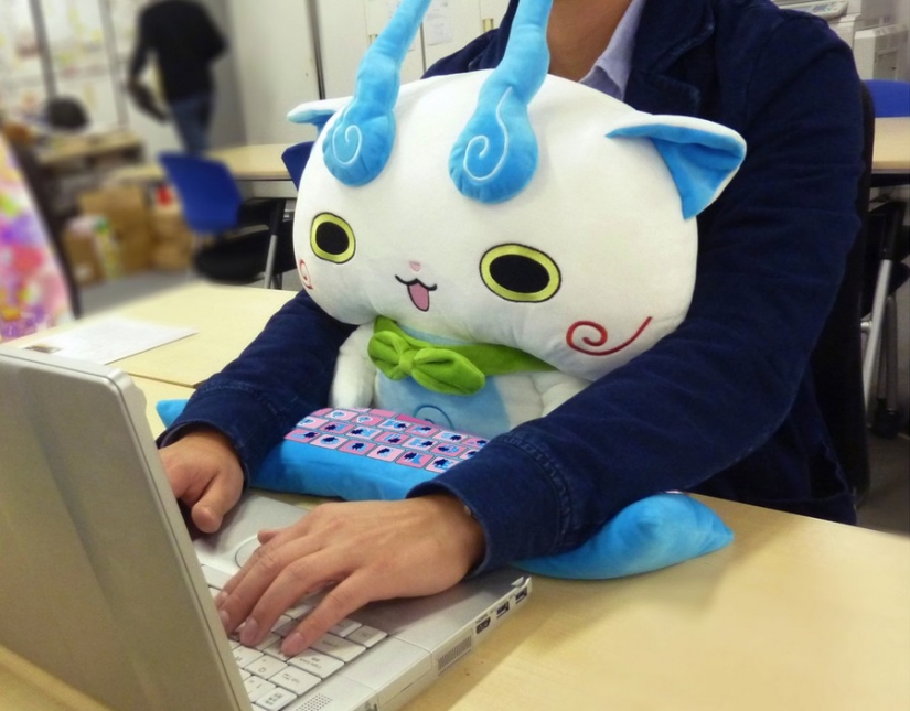 Pillows for healthy computer work — a new hit Japanese offices