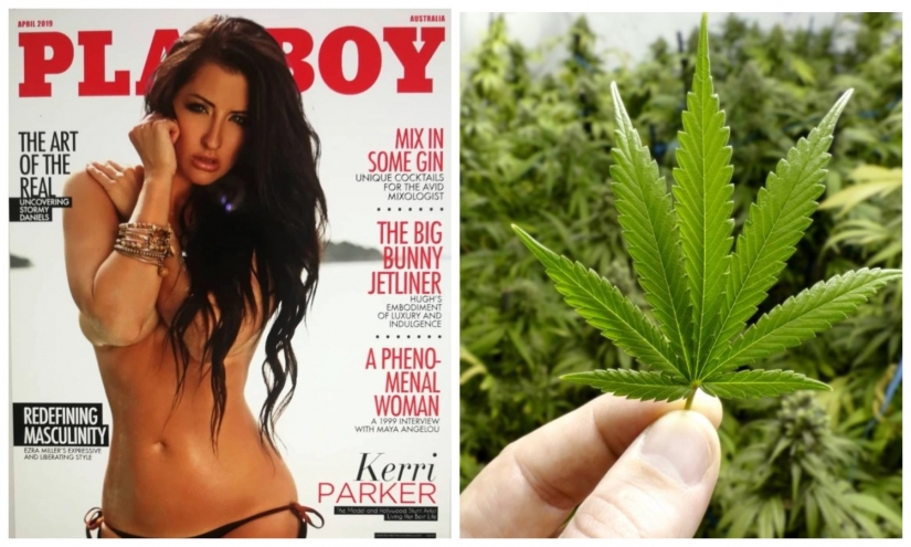 Playboy model, which remained only a year, had been cured of cancer thanks to marijuana