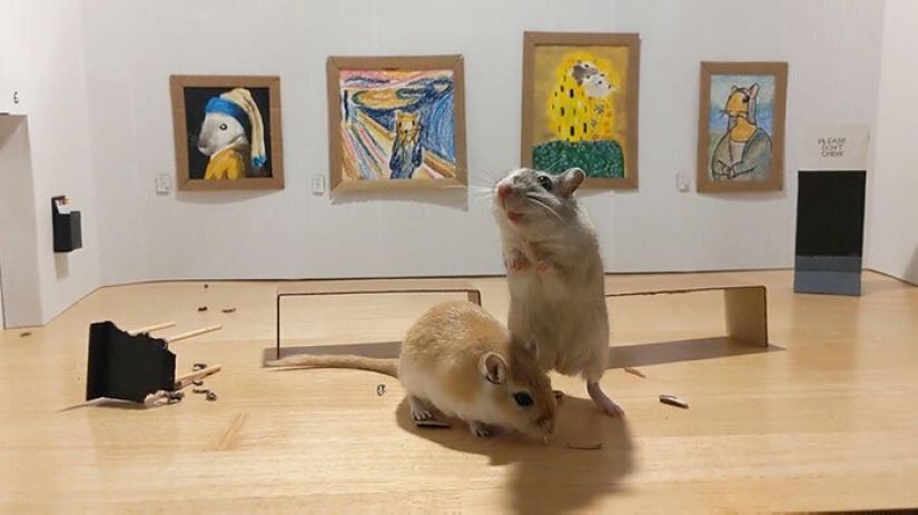 ¿Por qué en Londres abrió una pequeña galería de arte para los ratones, jerbos