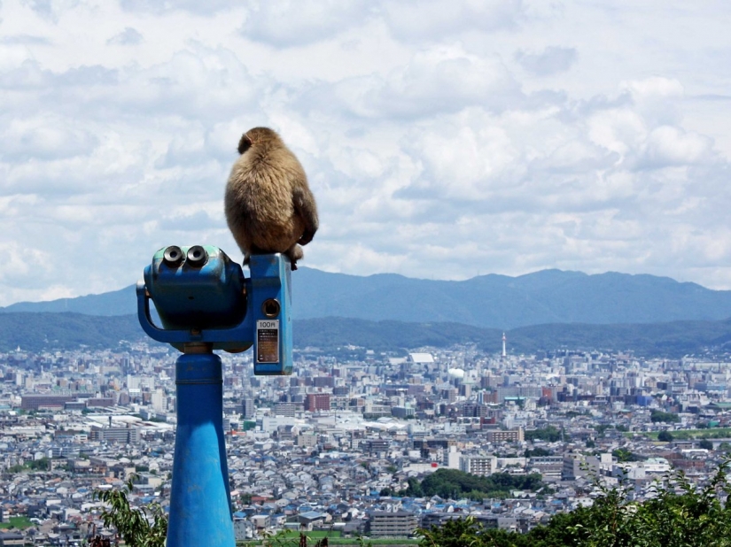 Por qué Kyoto fue elegida la mejor ciudad del mundo: 23 photoproofs