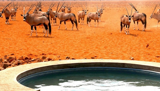 Recumbent tour: 9 best bathtubs on the planet Recumbent tour: 9 best bathtubs on the planet