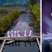 Rojo de primavera: mejores fotos del concurso de fotografía de la Primavera 2020