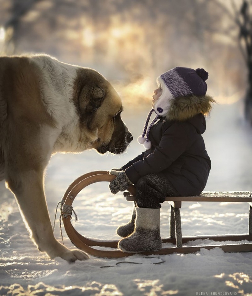Russian woman creates stunning photographs of your children with animals in the village
