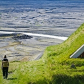 Scandinavian houses with overgrown roof, which I want to settle immediately