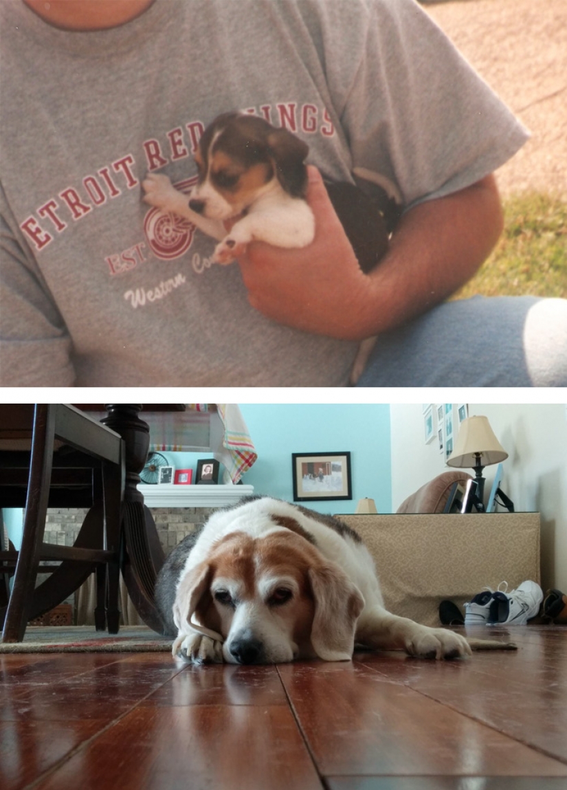 Se le rompe el corazón: la primera y la última de las fotos de los dueños con sus Mascotas