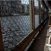 Se ve como el único en el mundo flotante gato refugio