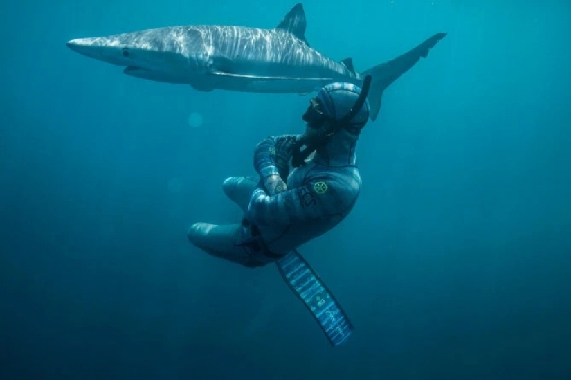 Smile of death: as the intrepid diver is in contact with sharks