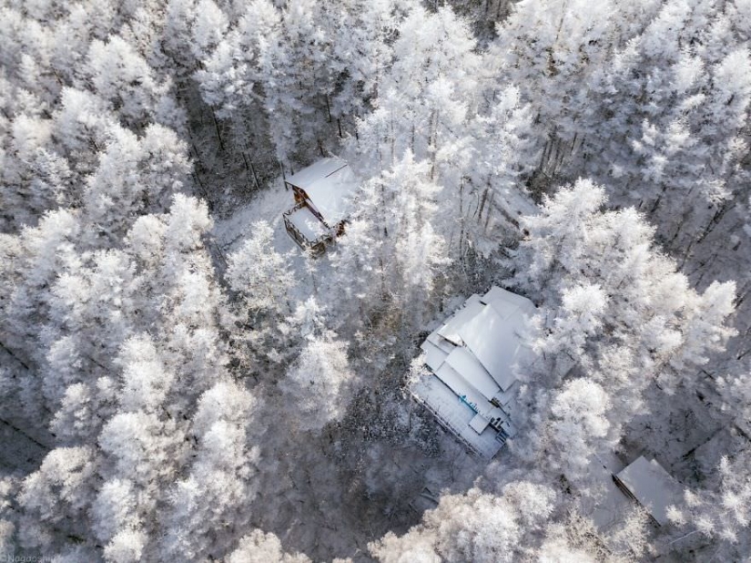 Snow tale: an incredibly beautiful winter in Japan