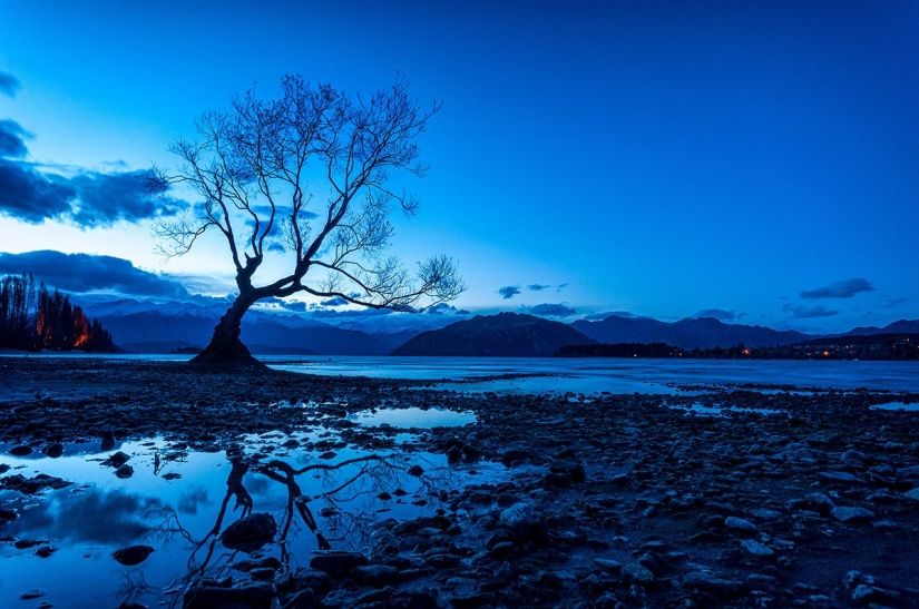 South island — a real Paradise on Earth!