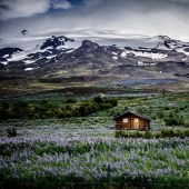 Stunning home built far away from civilization