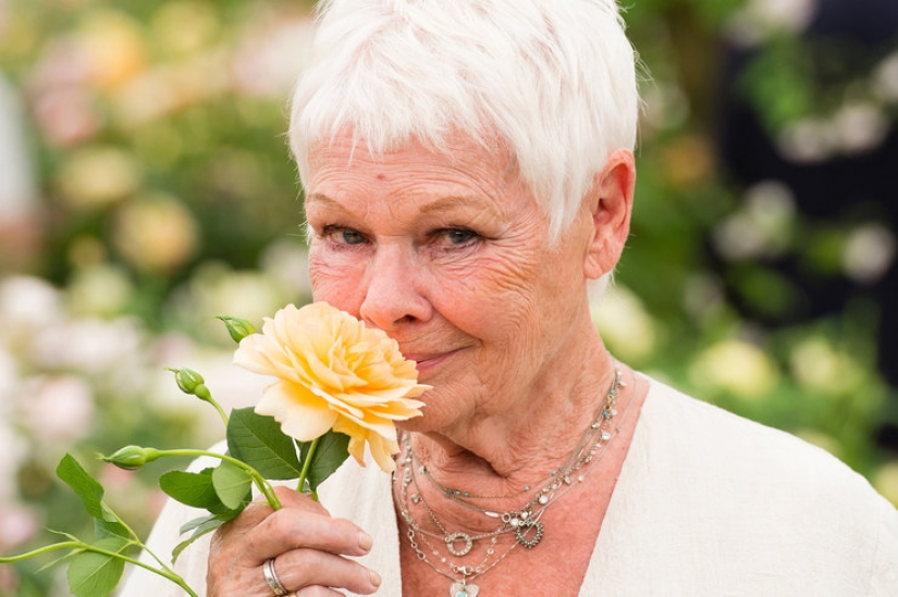 Tattoo to Weinstein and fear of the dark: surprising facts about the actress Judi Dench