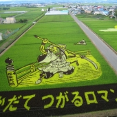 The art of Tambo — incredible pictures in the rice fields of Japan