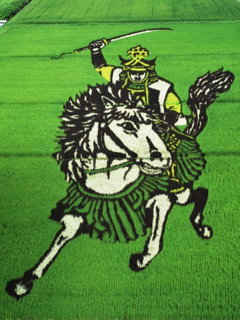 The art of Tambo — incredible pictures in the rice fields of Japan