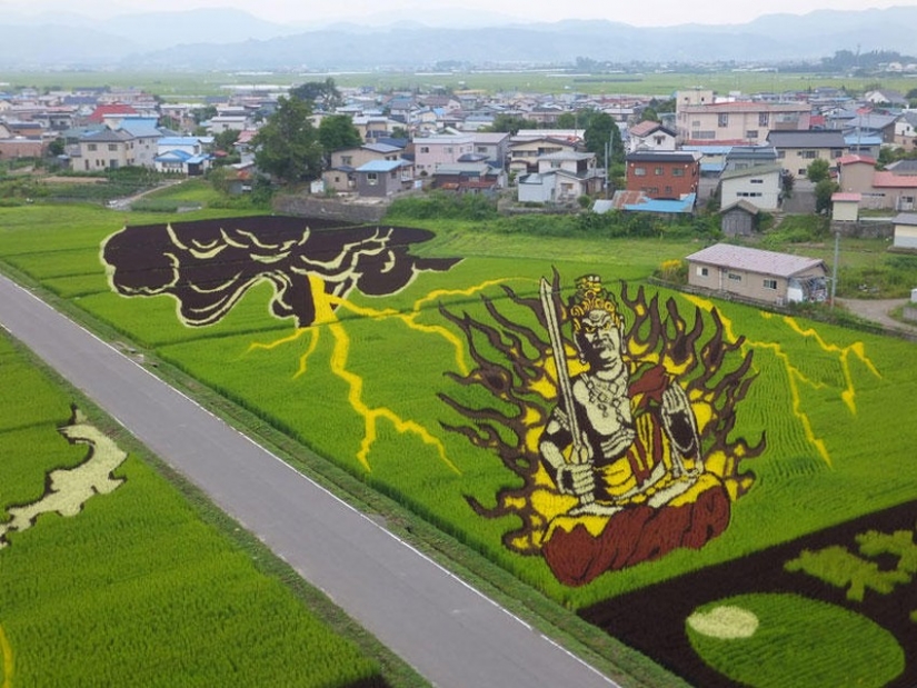 The art of Tambo — incredible pictures in the rice fields of Japan