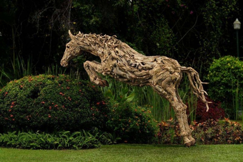 The artist transformed driftwood into beautiful sculptures moving animals