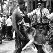 The brightest moments of the struggle of African Americans for their rights