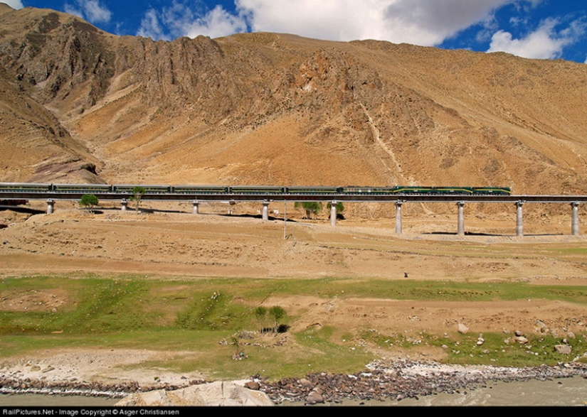 The Chinese built a railroad to Tibet