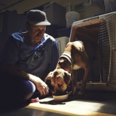 "The dog loves you even in prison": how to help each other inmates and homeless dogs