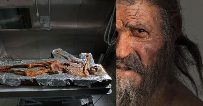 The "ice man", the oldest mummy found in Europe