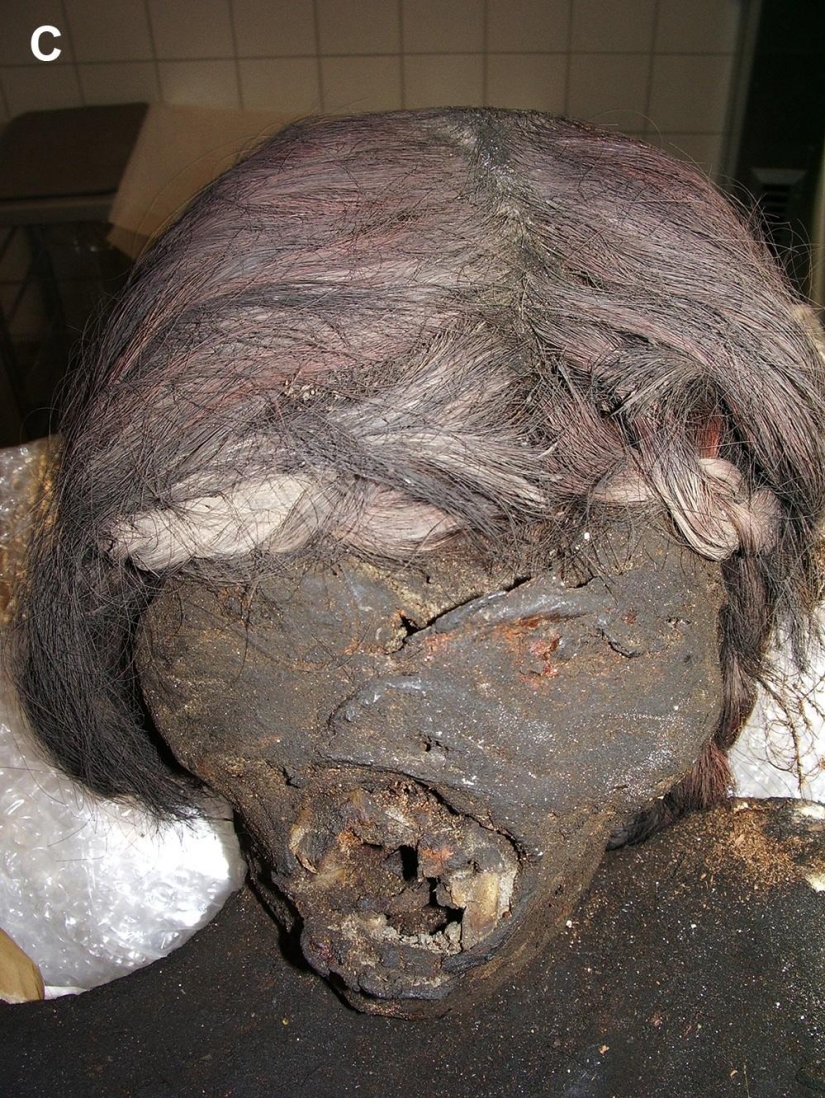The Inca mummies of sacrificed children and women
