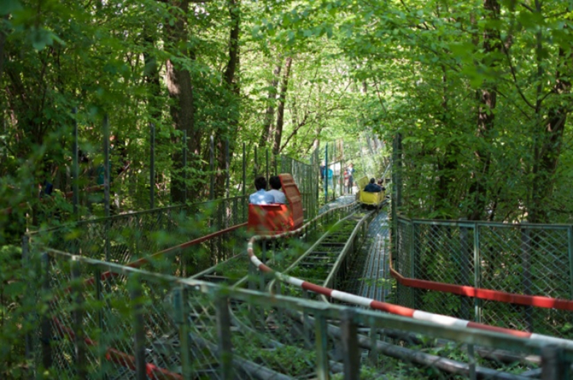 The Italian single-handedly built an amusement Park in the woods