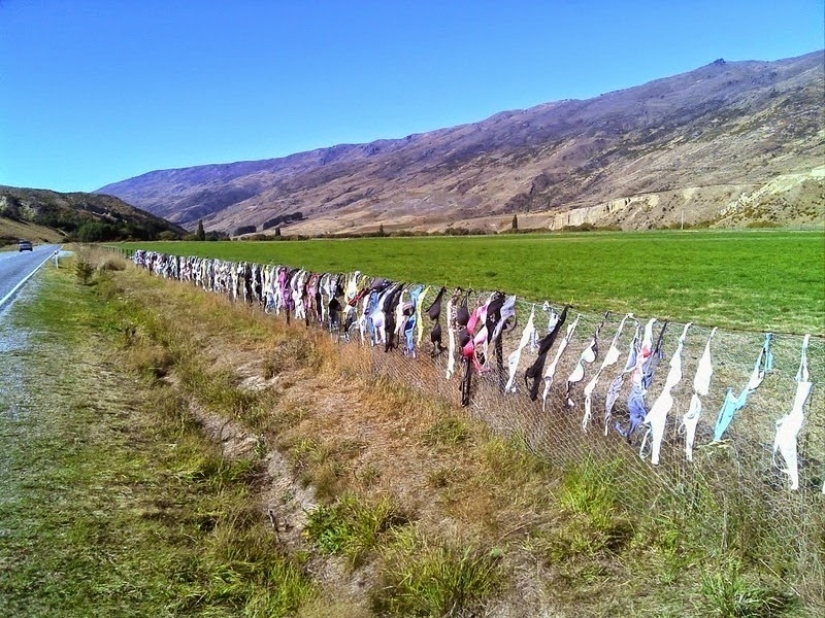 The most unusual fence in the world