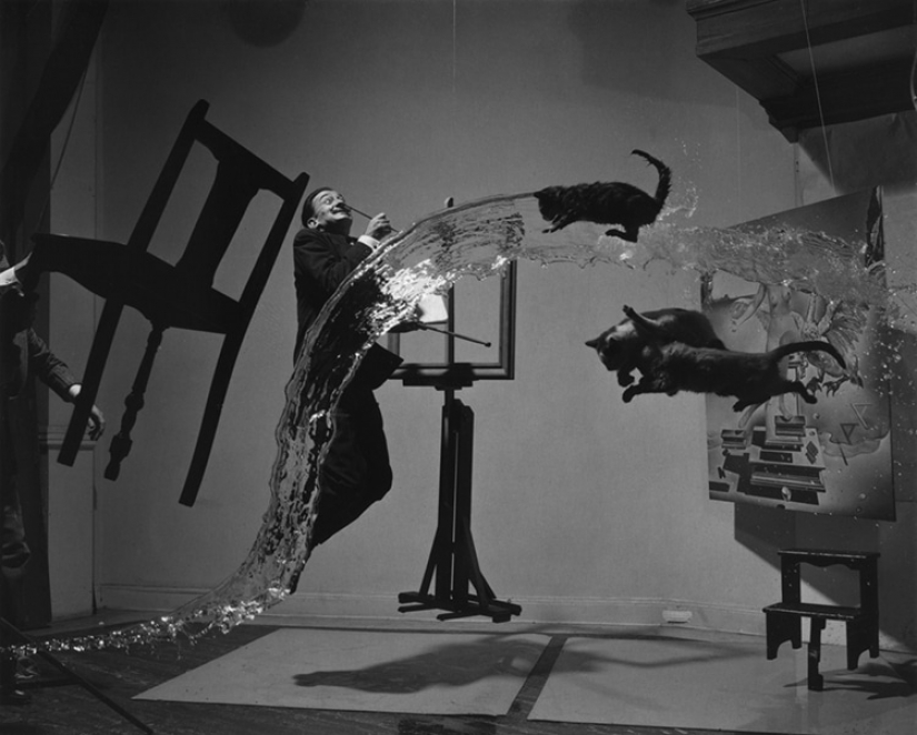 The photographer shot the iconic photo of Salvador Dali, replacing the cats with a toaster