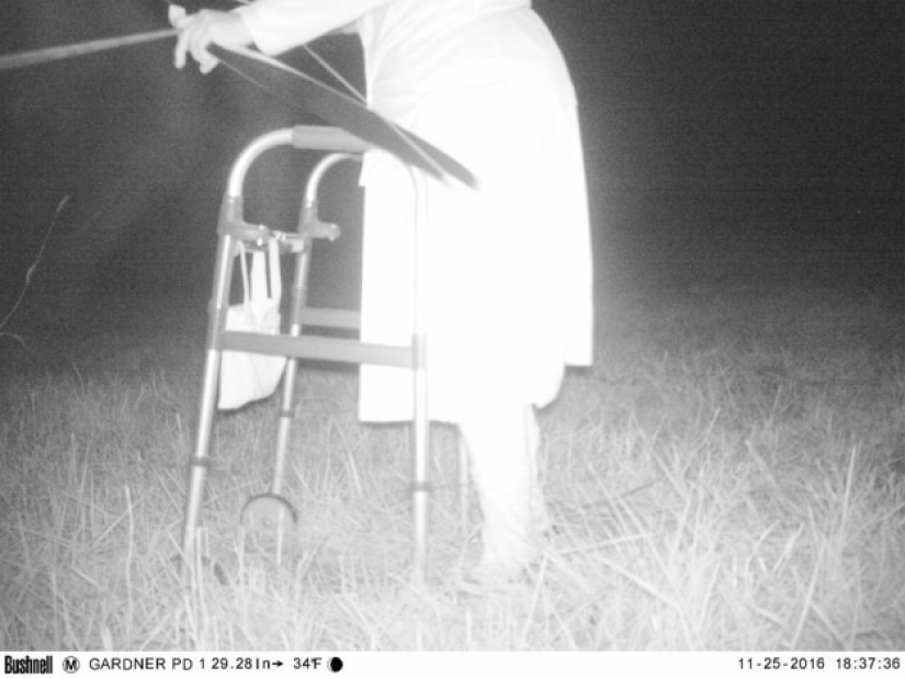 The police found the night vision camera to find the Cougar, but the situation got out of control