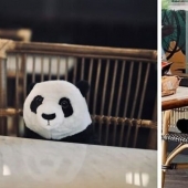 The restaurant Bangkok pandas help people keep a distance