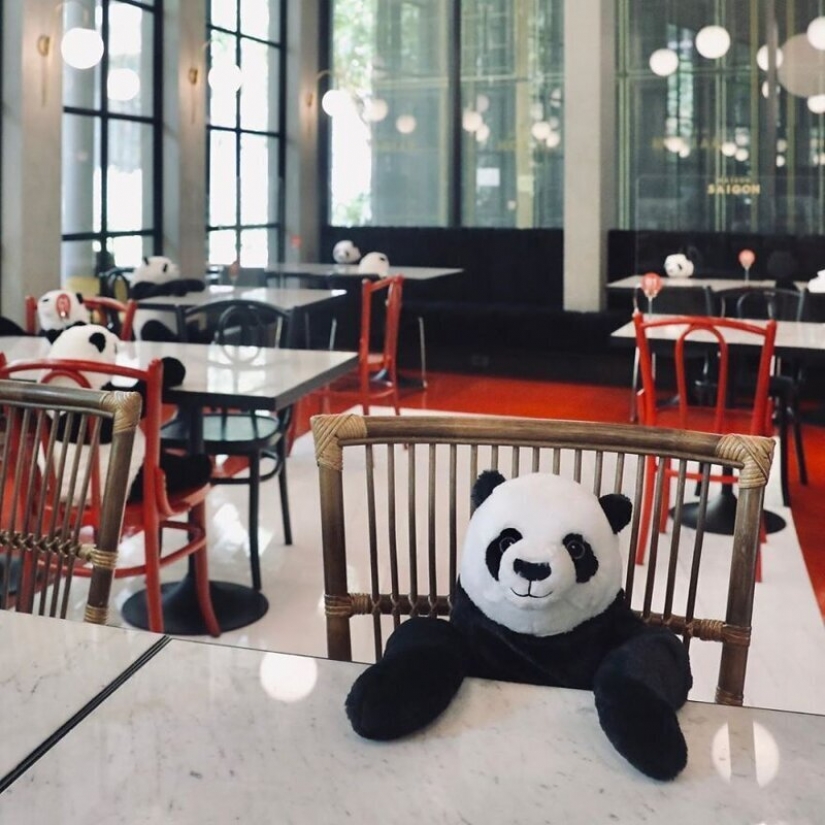 The restaurant Bangkok pandas help people keep a distance