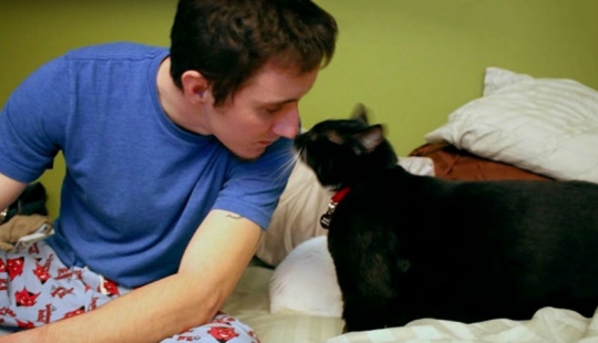 The stray cat ran the guy down and saved him from suicide