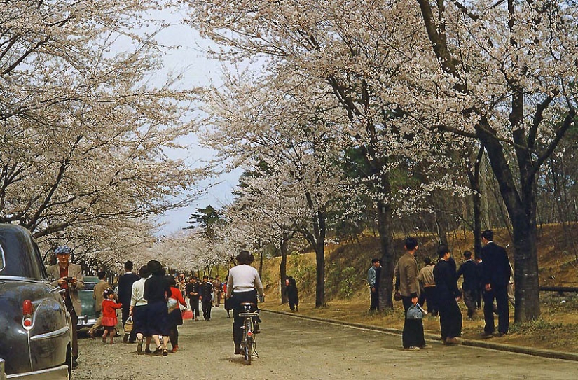 Tokio de la década de 1950 en las fotografías en color