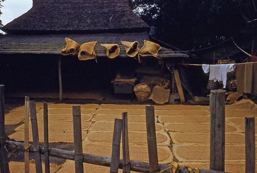 Tokyo of the 1950s in color photographs