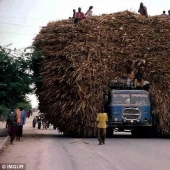 Transporte desafiar las leyes de la física y el sentido común