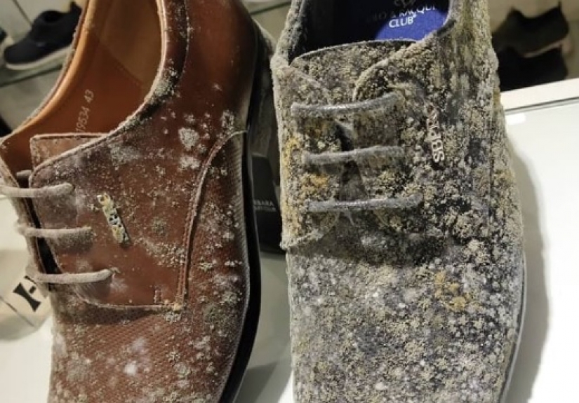 Two months of quarantine products in the Malaysian Mall was covered with mold