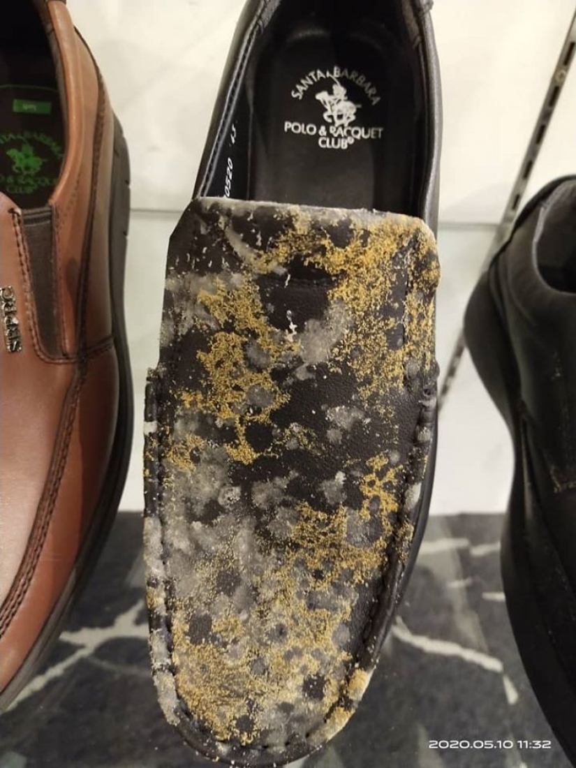 Two months of quarantine products in the Malaysian Mall was covered with mold