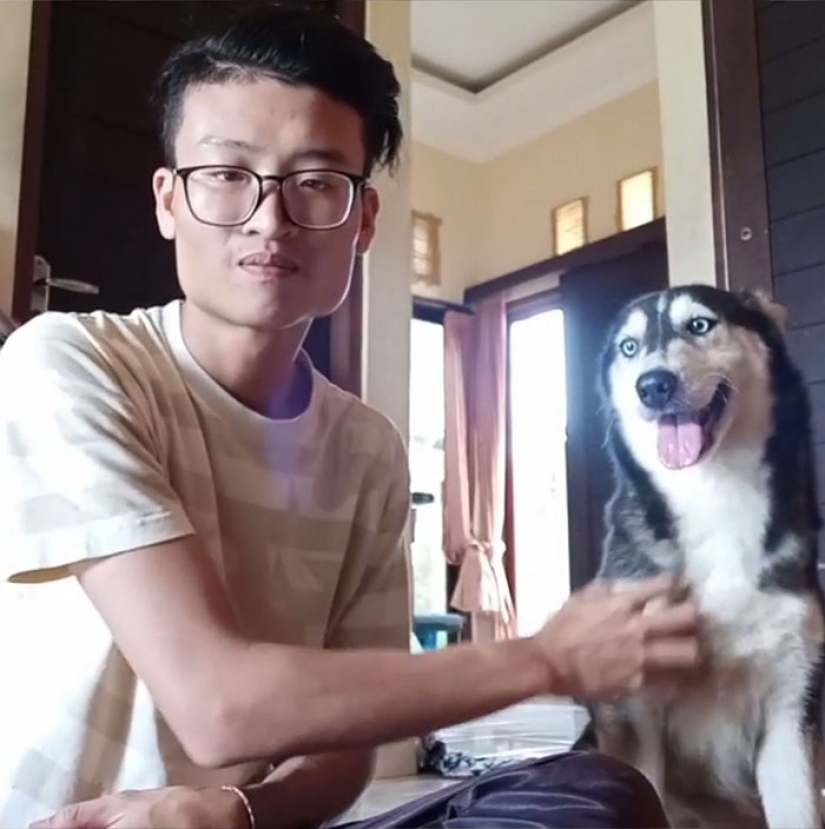 Una historia conmovedora de rescate de perros en Bali