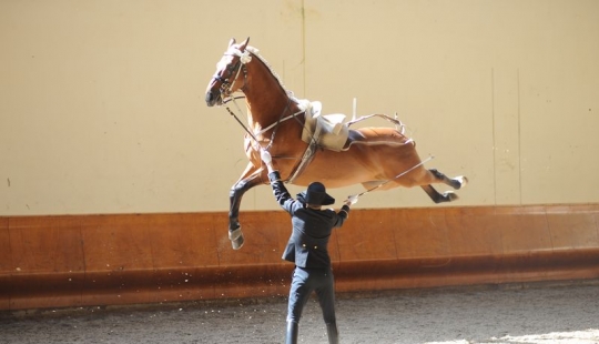 Vale la pena un vistazo: 17 imágenes graciosas de el "Espectáculo"