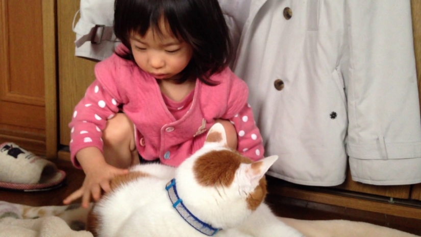 Virtual amigas y alquiler de animales: se ve como el reverso de el milagro económico Japonés
