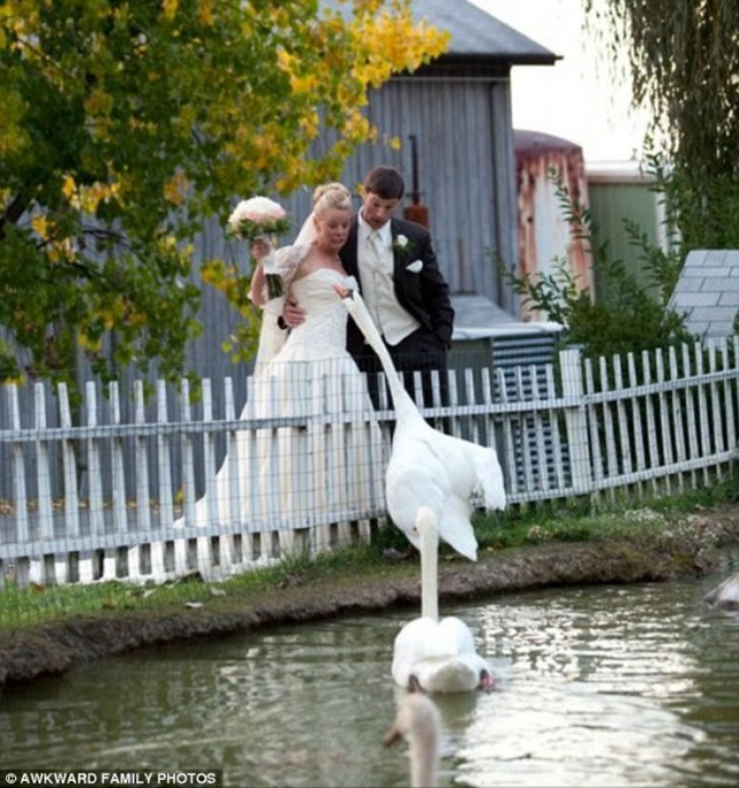 Wedding photography, which is really bitter